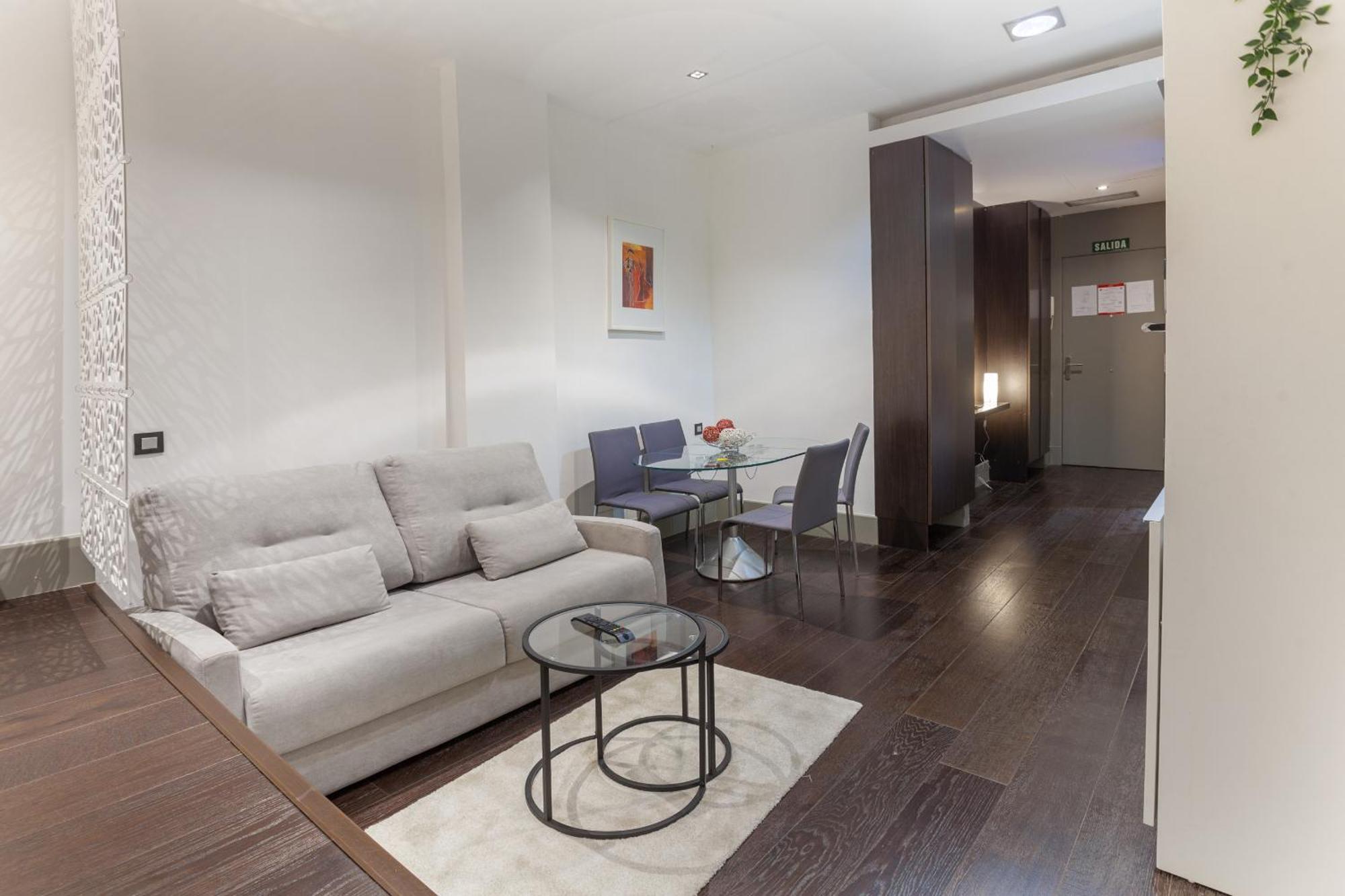 Apartament Cibeles En Madrid